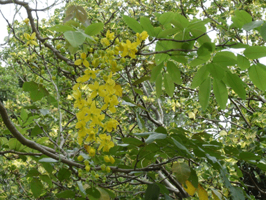 b0176111_21351433.gif