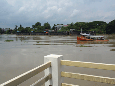 b0176111_21383172.gif