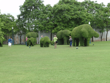 b0176111_21505393.gif
