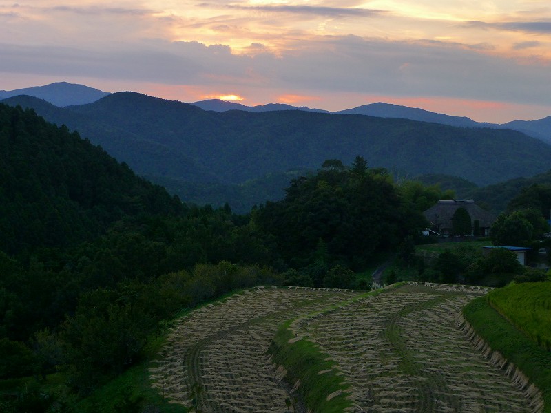 f0182513_94406.jpg