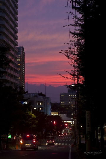 本日・綺麗な夕焼け・・とマダラ料理_c0196414_2191898.jpg