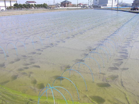 HAARP vs e-PISCO:関東の大気ラドンイオン濃度はマックスを超えている!_e0171614_1142798.jpg