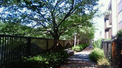 f0167314_2337333.jpg