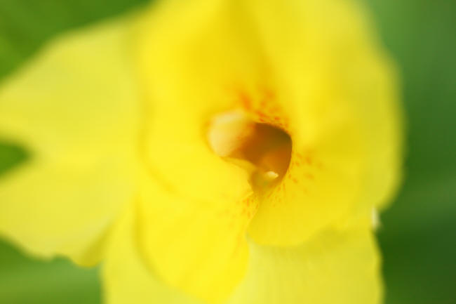 f0017530_18553954.jpg
