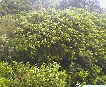 a0134136_19345289.jpg
