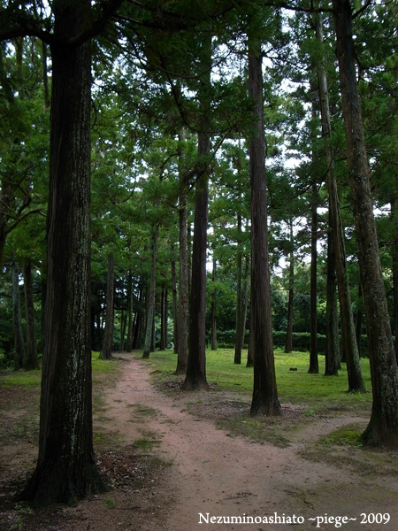 f0184339_12235787.jpg