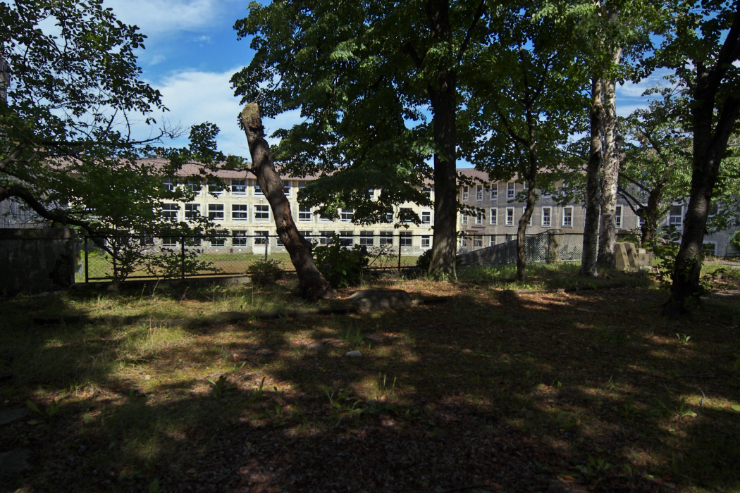d0001745_12395160.jpg