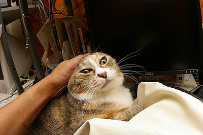 りっぱな、お髭!_a0028451_144179.jpg