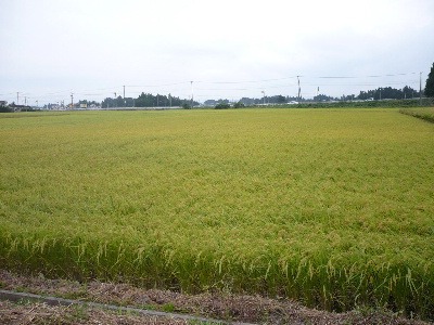 庄屋さんの酒蔵 『寒梅酒造』_f0193752_18335956.jpg