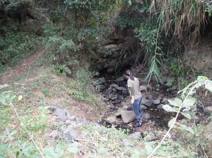 c0108460_21504192.jpg