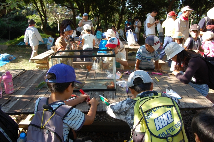 第３回「カニカニウォッチング」　in  せんなん里海公園_c0108460_2235919.jpg