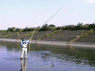 f0084561_13365544.gif