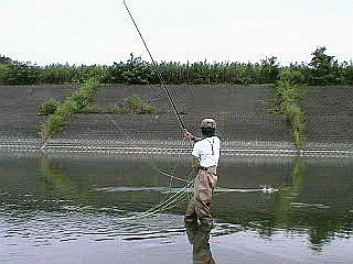 f0084561_13372174.gif
