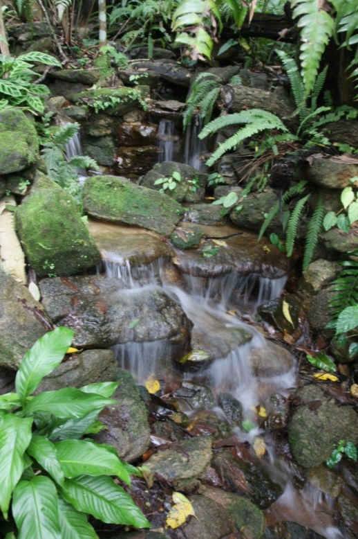 b0149365_13561091.jpg
