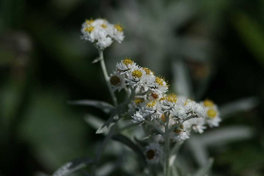 b0084270_13386.jpg