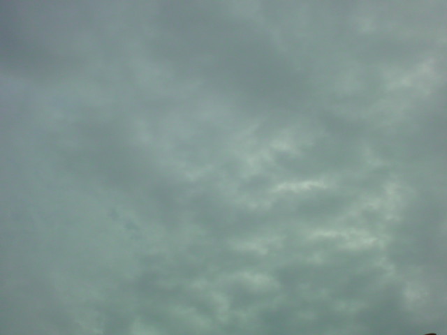「晴れ…」_e0051174_6271966.jpg