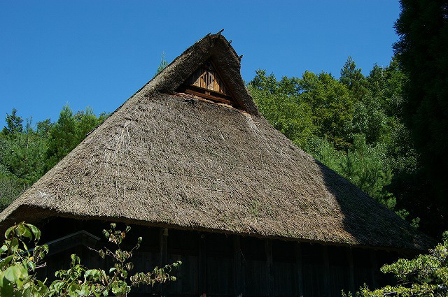 旧徳山村の茅葺屋根の建物_d0054276_202245.jpg