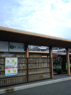 d0137076_1714840.jpg