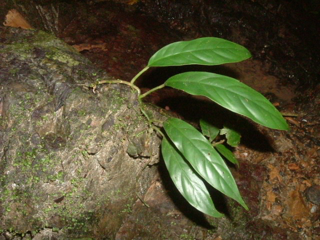a0067578_00381.jpg