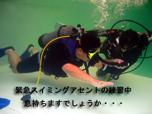 兄弟&親子でオープンウォーターダイバー!!_f0144385_21401756.jpg