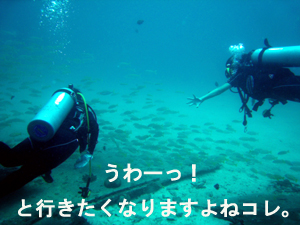 平和な世界がまってました!_f0144385_2154243.jpg