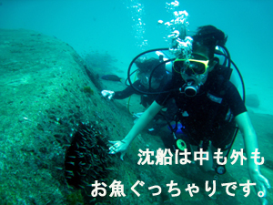 平和な世界がまってました!_f0144385_2164521.jpg