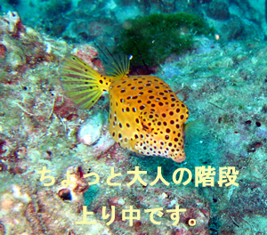 平和な世界がまってました!_f0144385_2173019.jpg