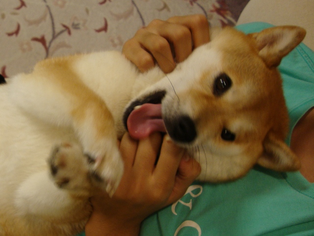 やまんば_a0126590_21501686.jpg