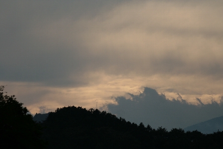 d0133693_2345314.jpg