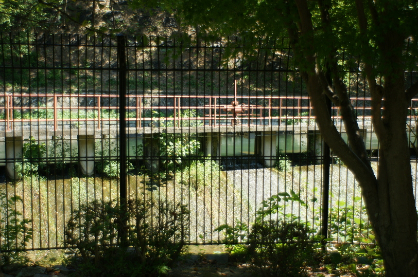 b0155395_21161069.jpg
