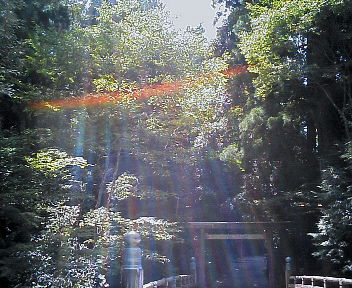 d0137896_13392957.jpg