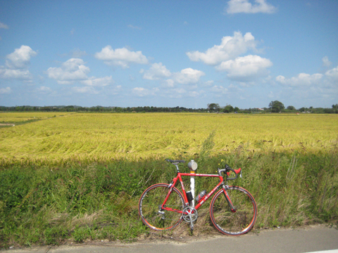 b0097200_21415611.jpg
