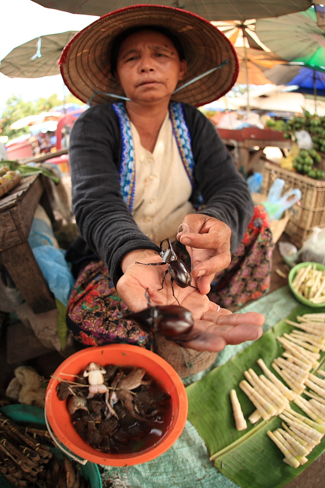 ラオス2009④　昆虫食_d0147002_1333335.jpg