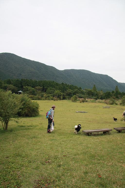 f0034602_1751796.jpg