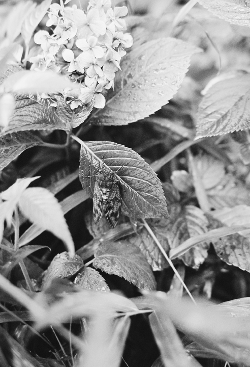c0120903_13105265.jpg