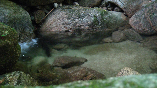 a0097006_22472965.jpg