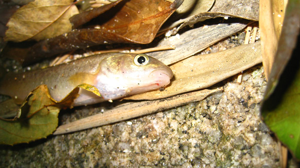 a0097006_2247740.jpg