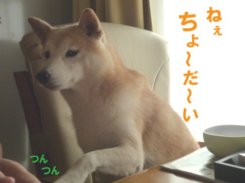 e0131506_23112461.jpg