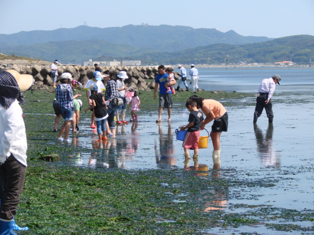 干潟観察会、消防団観閲式_a0063907_20563719.jpg