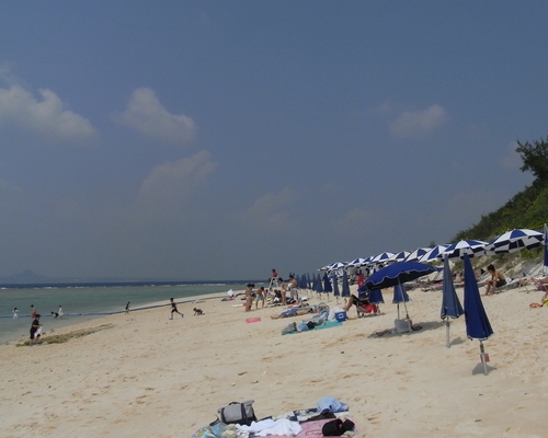 f0006510_737153.jpg