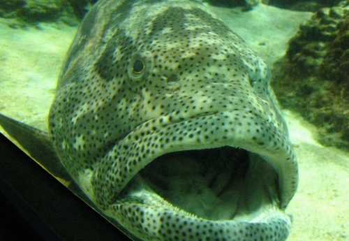 f0006510_7484222.jpg