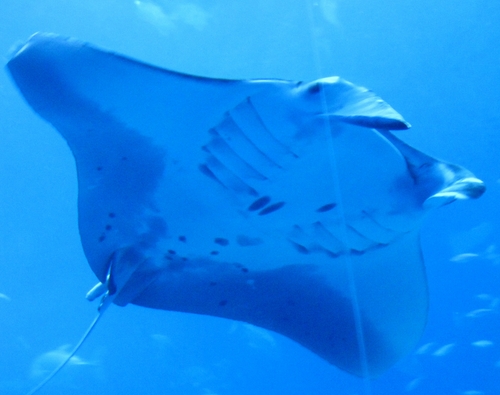 f0006510_7565932.jpg