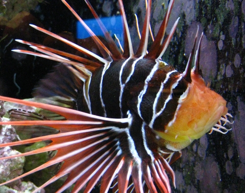 f0006510_881778.jpg