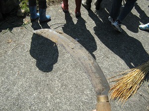 b0131012_2011025.jpg