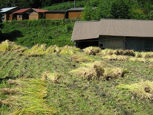 b0131012_2012357.jpg