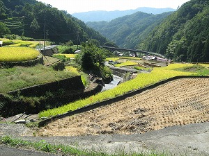b0131012_207418.jpg