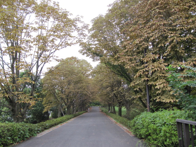c0200916_13305532.jpg