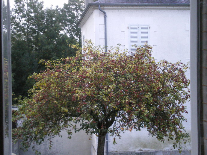 c0124619_16111987.jpg
