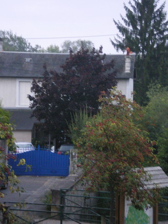 c0124619_16132295.jpg