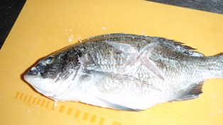 黒鯛 チヌ の塩焼き 魚料理を極めろ